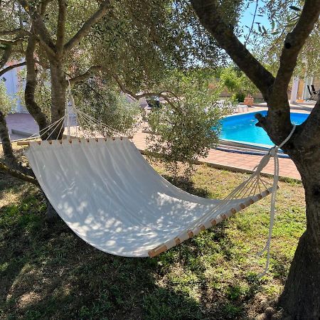 Villa Paludo Novigrad  Ngoại thất bức ảnh