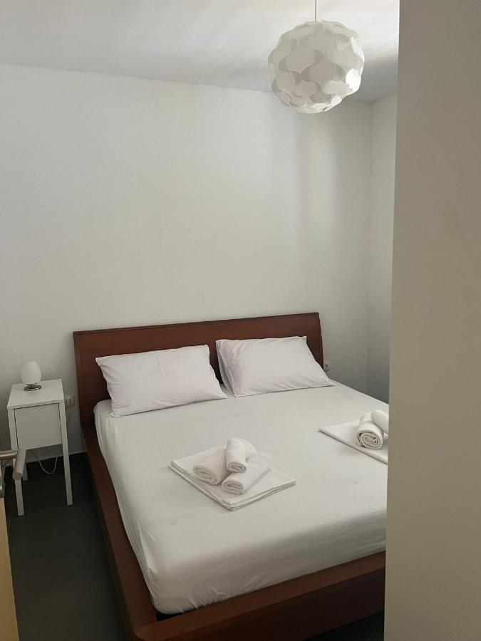 Villa Paludo Novigrad  Ngoại thất bức ảnh