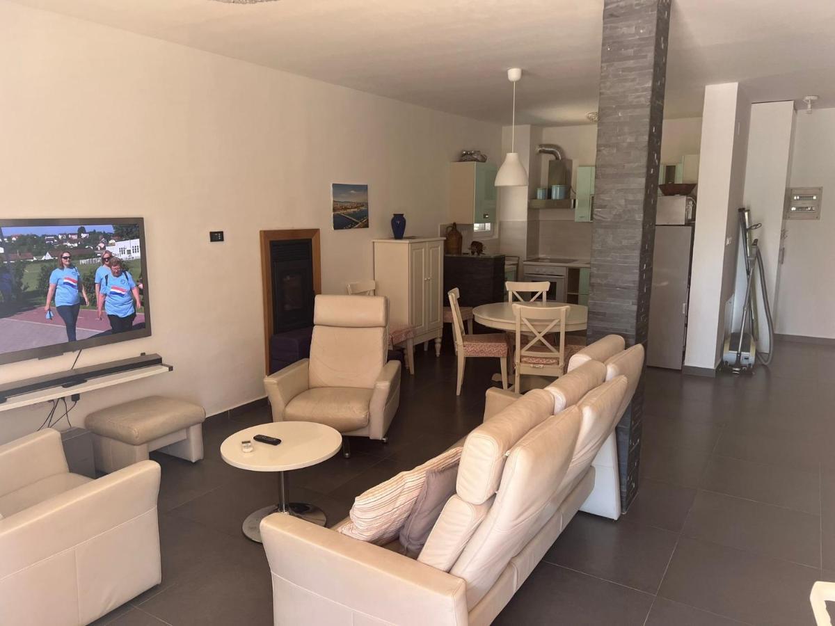 Villa Paludo Novigrad  Ngoại thất bức ảnh