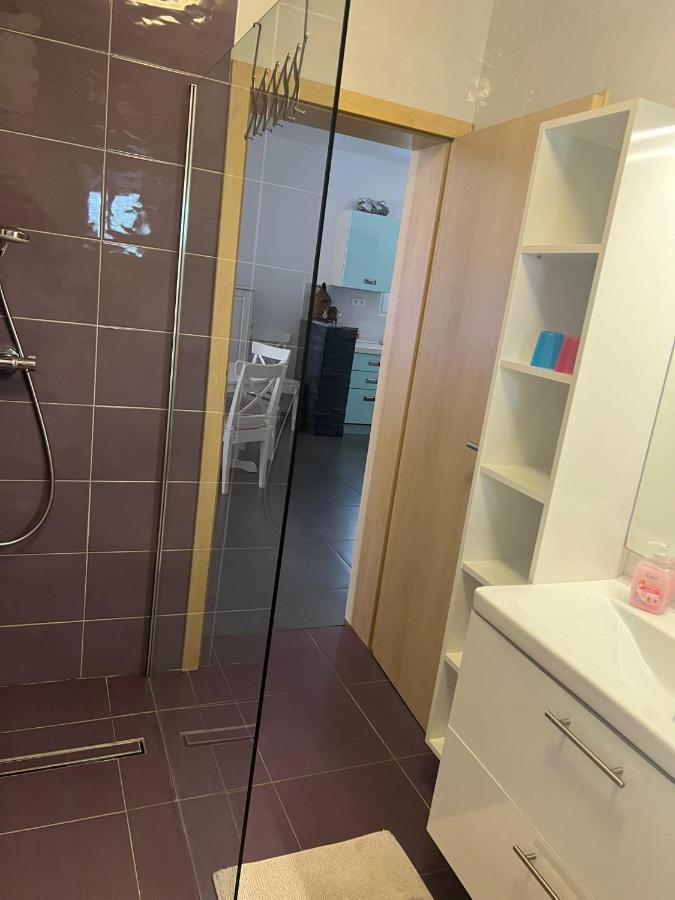Villa Paludo Novigrad  Ngoại thất bức ảnh